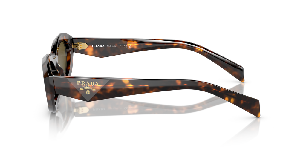 PR 26ZS - 14L09Z sunglasses - view 19