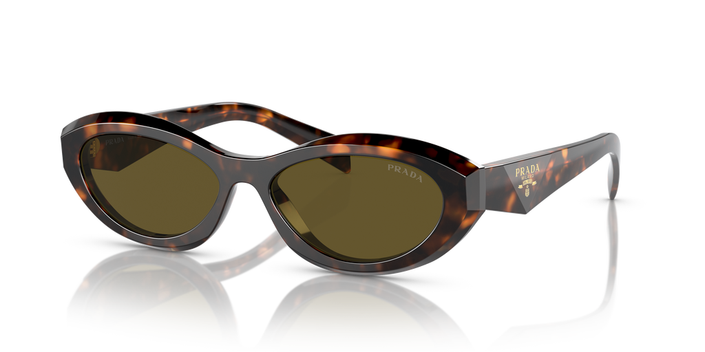 PR 26ZS - 14L09Z sunglasses - view 20