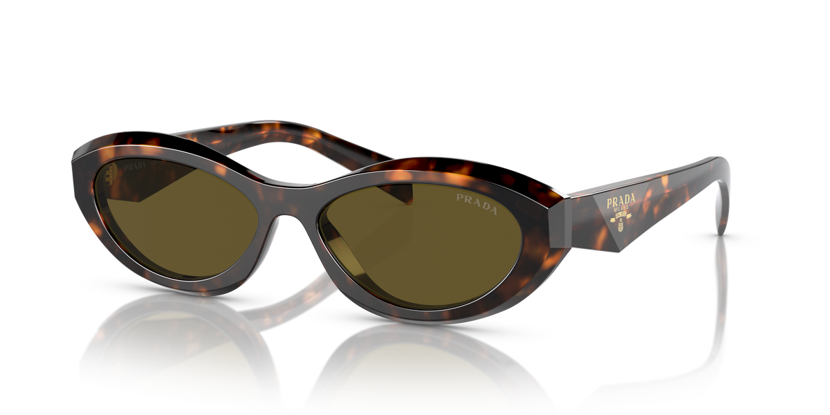 PR 26ZS - 14L09Z sunglasses - view 20