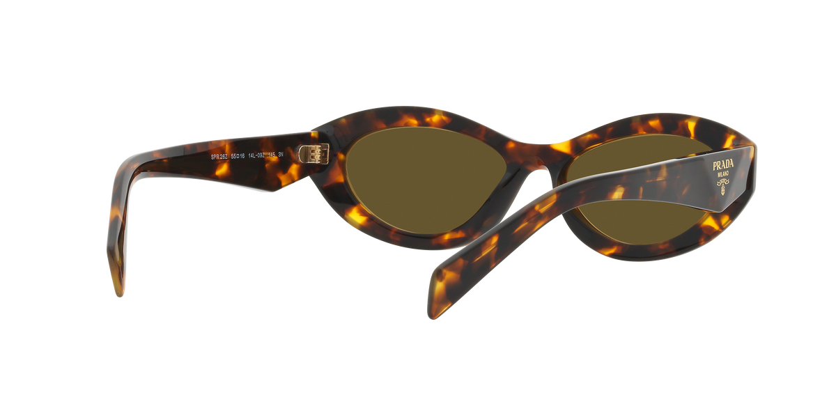PR 26ZS - 14L09Z sunglasses - view 9