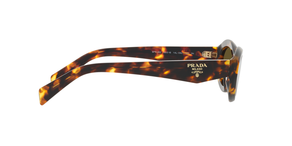 PR 26ZS - 14L09Z sunglasses - view 11