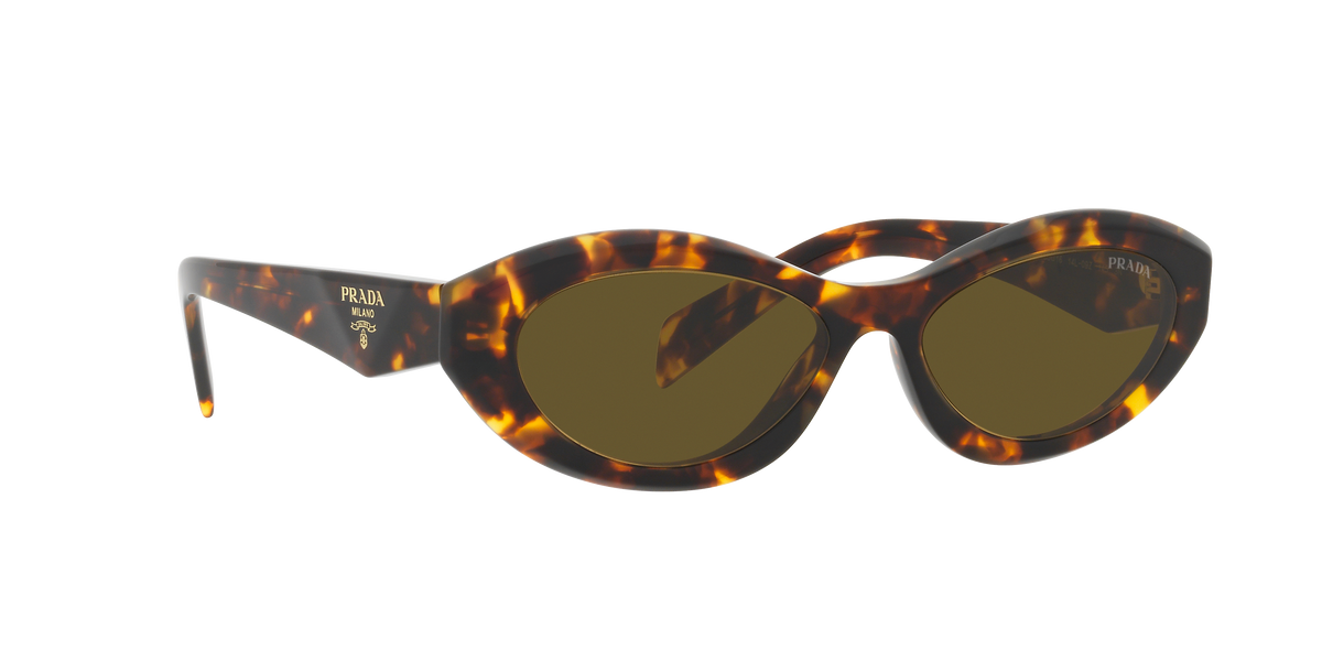 PR 26ZS - 14L09Z sunglasses - view 13