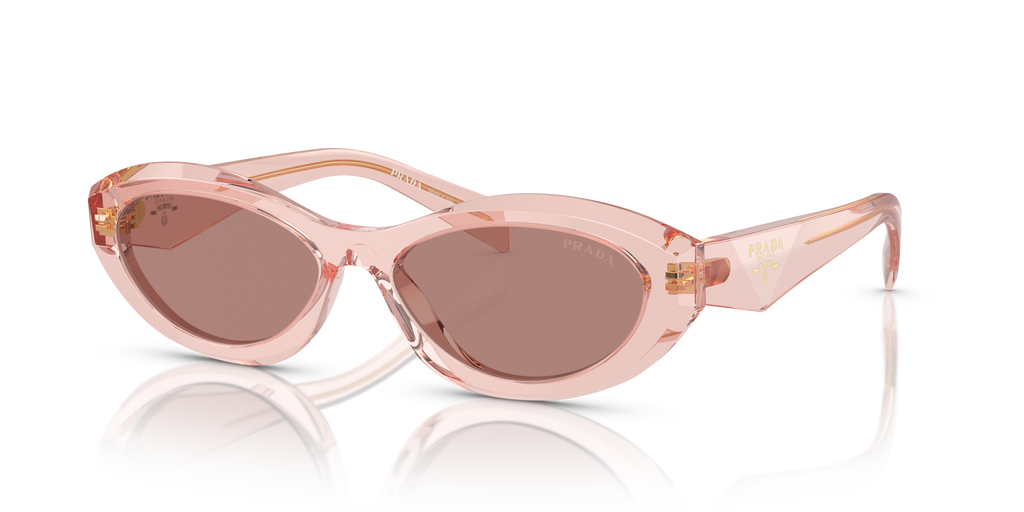 PR 26ZS - 19Q10D sunglasses - view 8