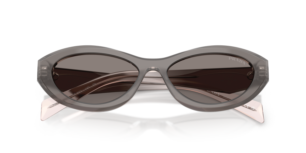 PR 26ZS - 20F80Q sunglasses - view 5