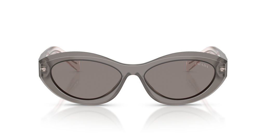 PR 26ZS - 20F80Q sunglasses - view 6