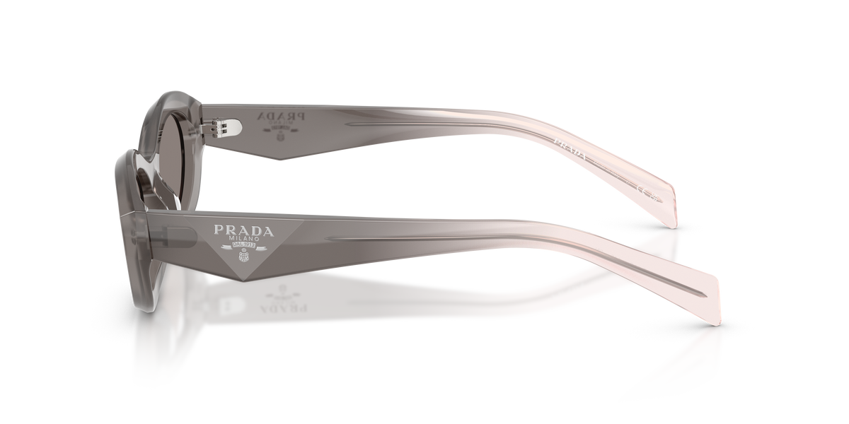 PR 26ZS - 20F80Q sunglasses - view 7
