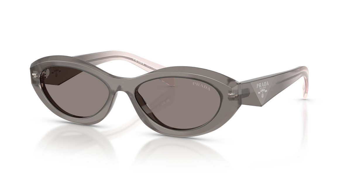PR 26ZS - 20F80Q sunglasses - view 8
