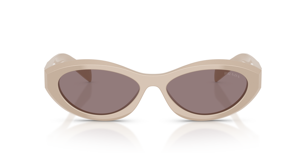 PR 26ZS - 25B6X1 sunglasses - view 6