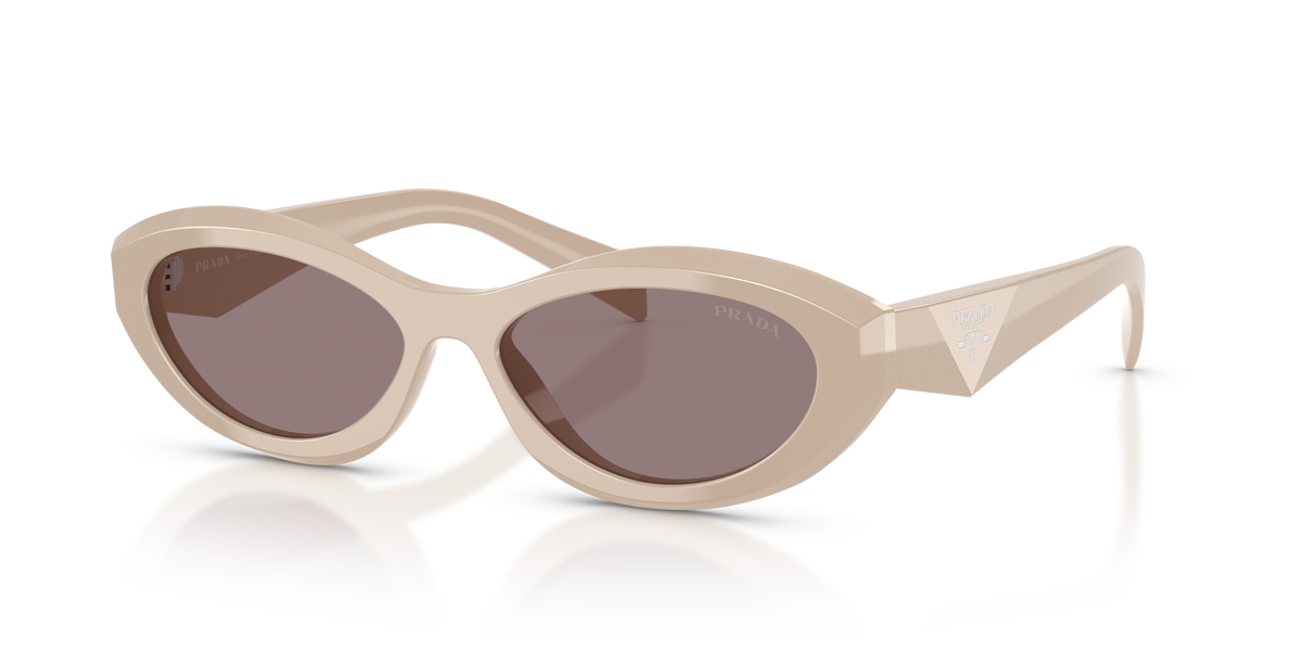 PR 26ZS - 25B6X1 sunglasses - view 8
