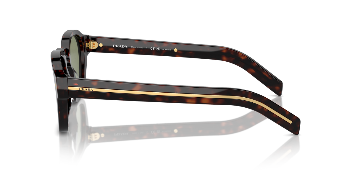 PR A16S - 17N20G sunglasses - view 7