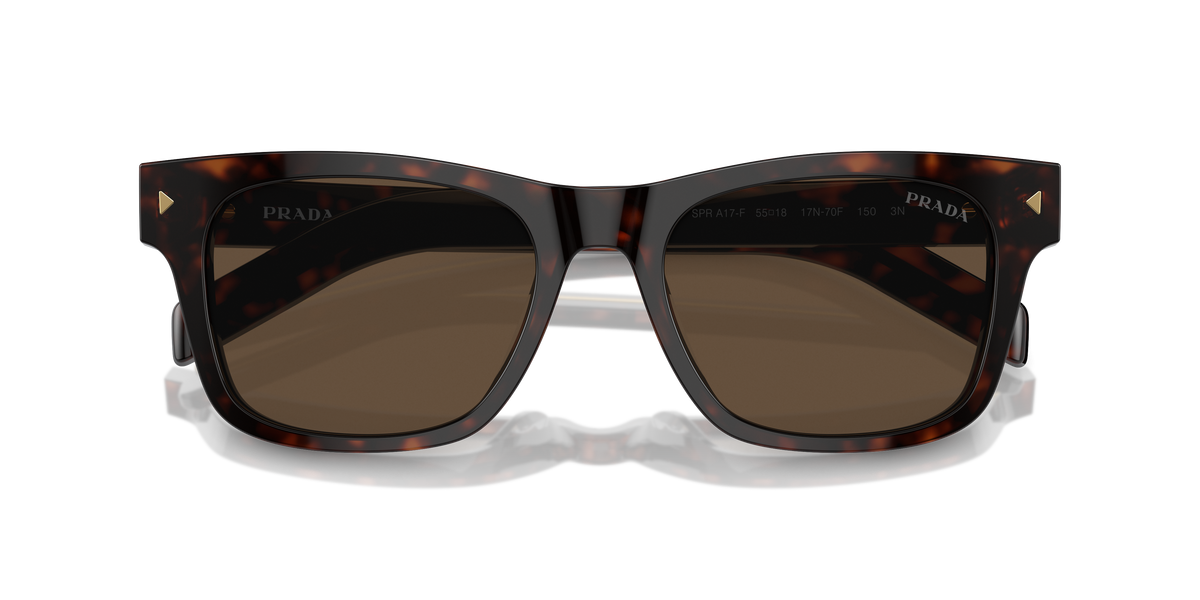 PR A17SF - 17N70F sunglasses - view 5