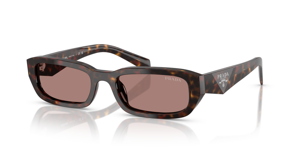 PR B06S - 17N60B sunglasses - view 8