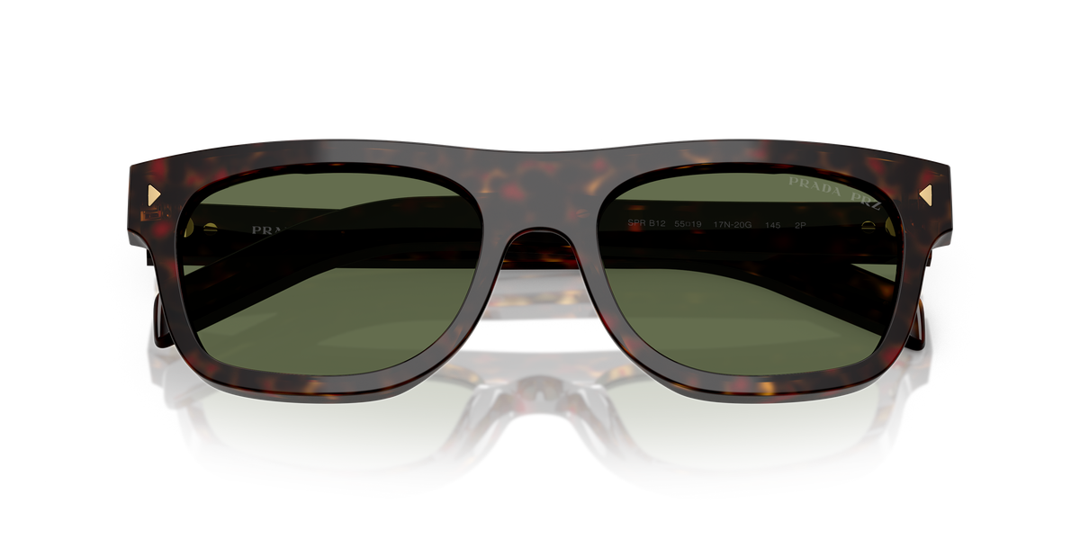 PR B12S - 17N20G sunglasses - view 5