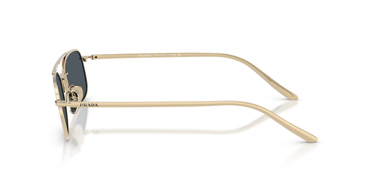 PR D59S - ZVN70B sunglasses - view 7