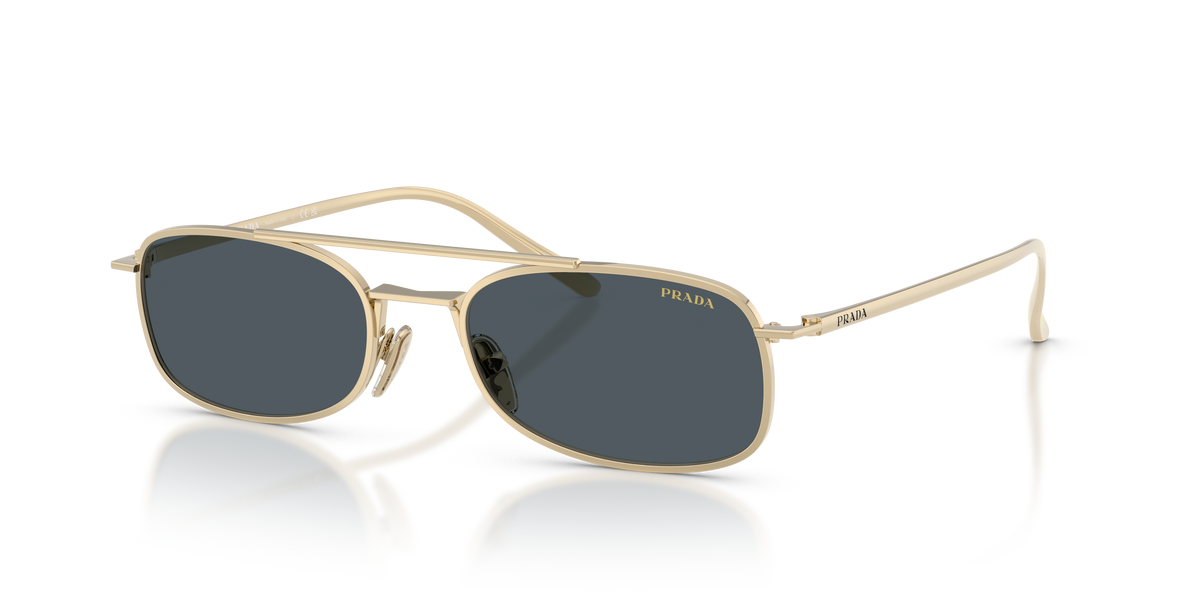 PR D59S - ZVN70B sunglasses - view 8