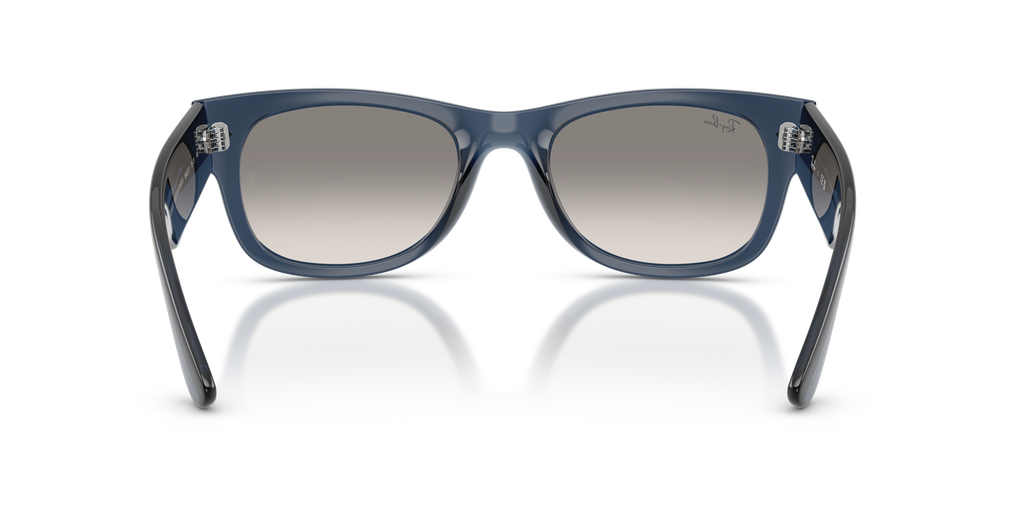 RB0832S - 684532 sunglasses - view 5