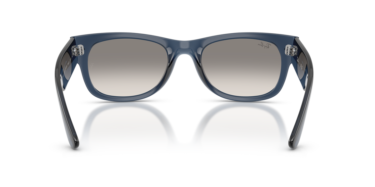 RB0832S - 684532 sunglasses - view 5