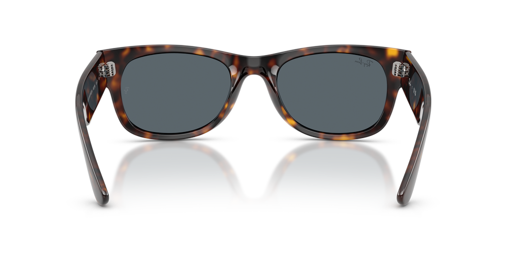 RB0832S - 902R5 sunglasses - view 5