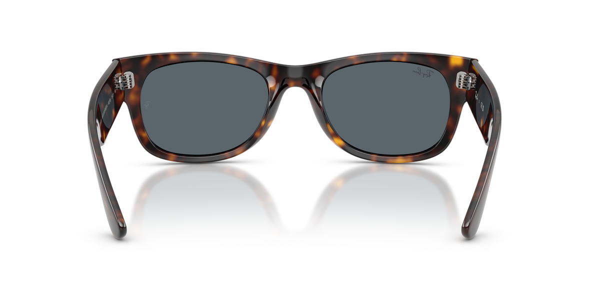 RB0832S - 902R5 sunglasses - view 5