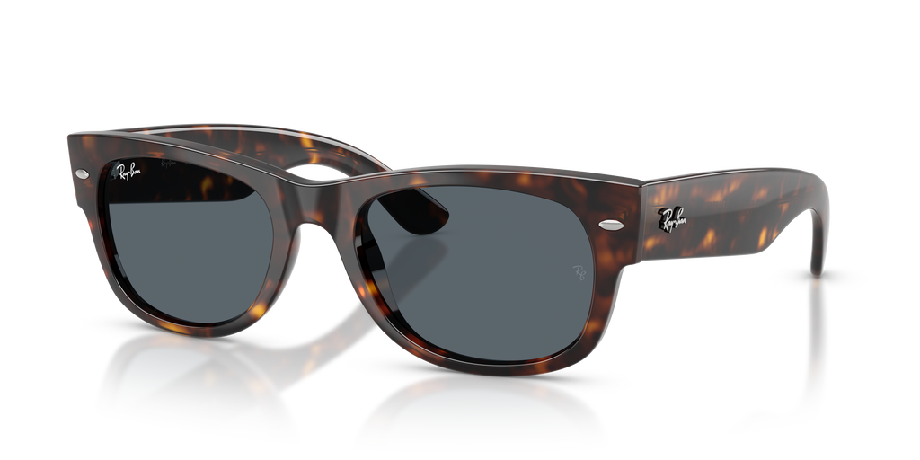RB0832S - 902R5 sunglasses - view 9
