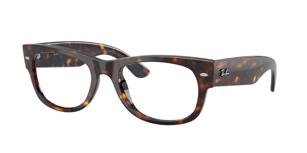 RB0832S - 902R5 sunglasses - view 10