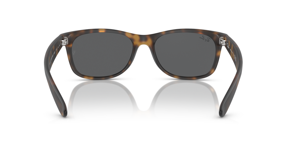 RB2132 - 865B1 sunglasses - view 5