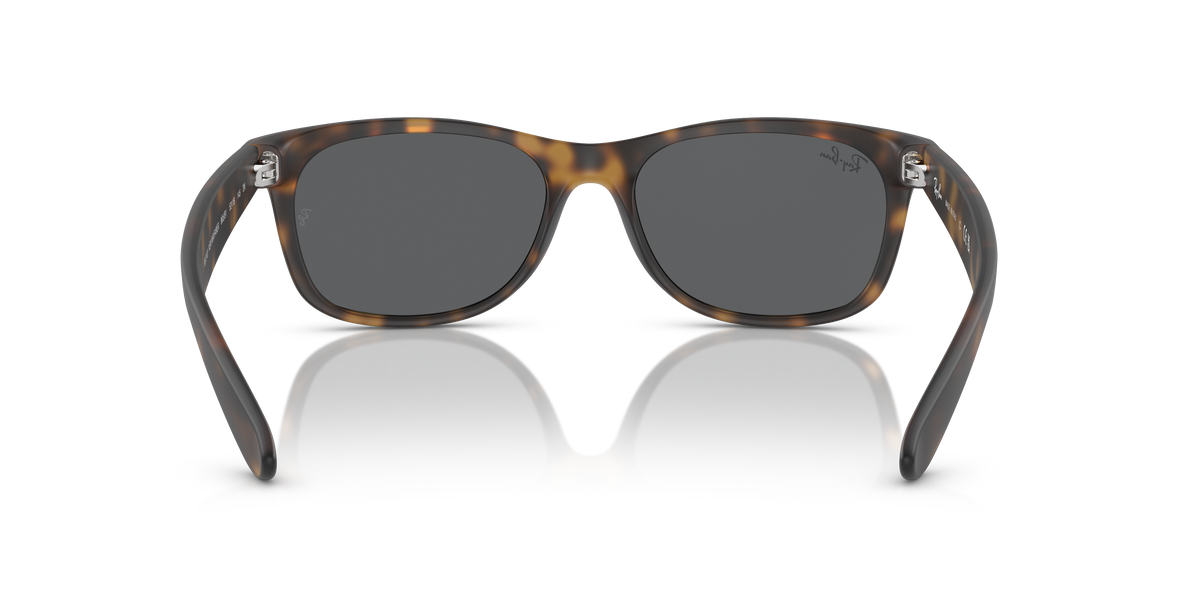 RB2132 - 865B1 sunglasses - view 5