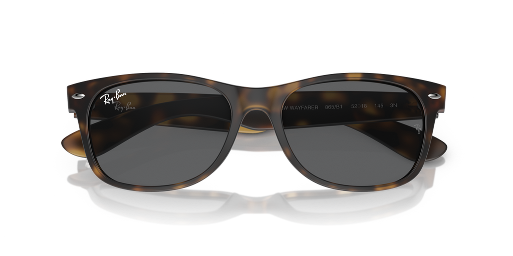 RB2132 - 865B1 sunglasses - view 6