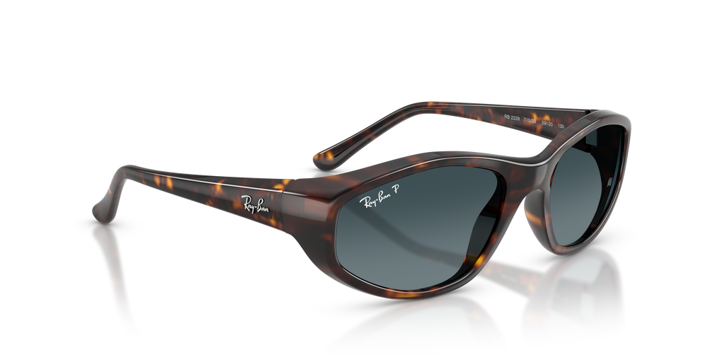 RB2228 - 710S3 sunglasses - view 4