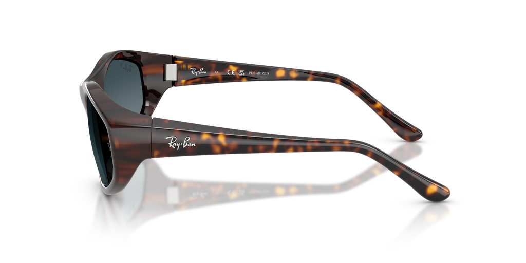 RB2228 - 710S3 sunglasses - view 8
