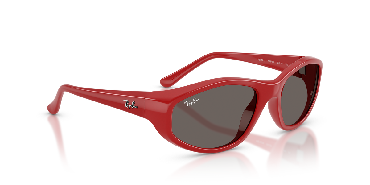 RB2228 - 764B1 sunglasses - view 4