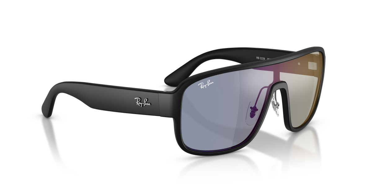 RB2229 - 901SB2 sunglasses - view 4