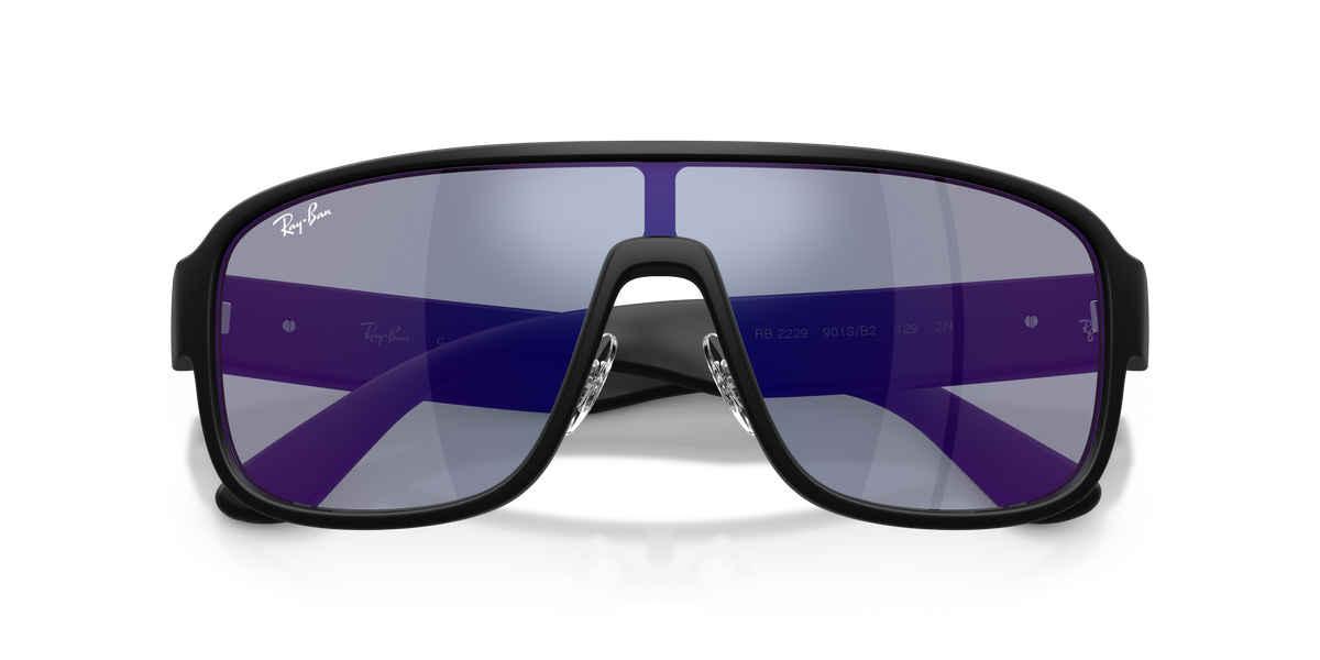 RB2229 - 901SB2 sunglasses - view 6