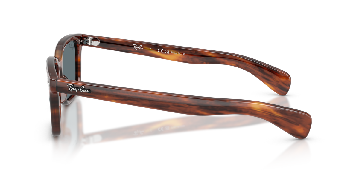 RB2234 - 9543R sunglasses - view 8