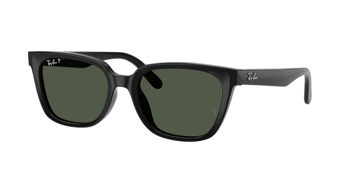 RB2243D - 9019A sunglasses - view 3