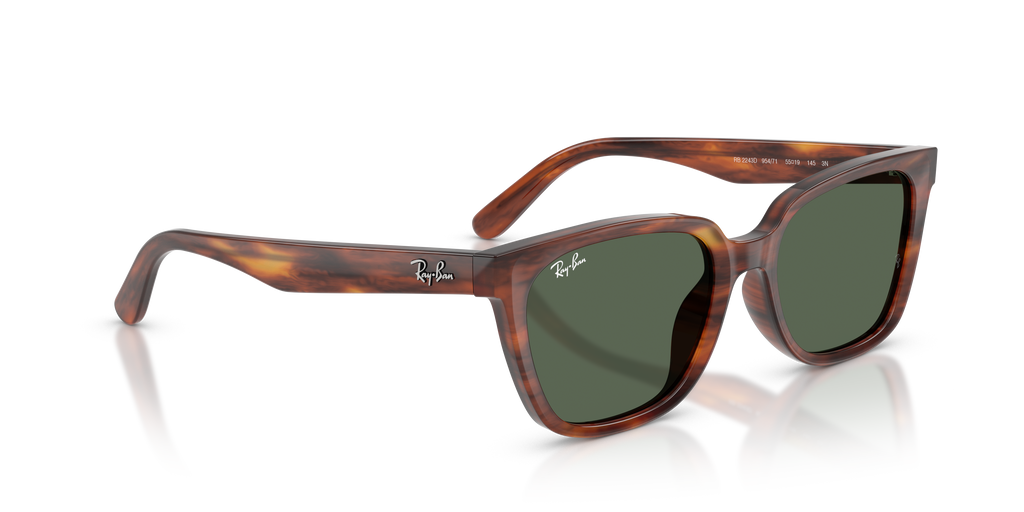 RB2243D - 95471 sunglasses - view 4