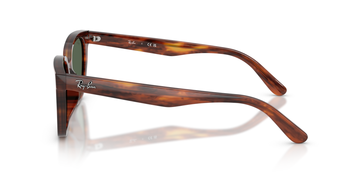 RB2243D - 95471 sunglasses - view 8