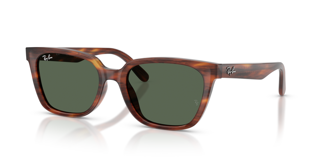 RB2243D - 95471 sunglasses - view 9