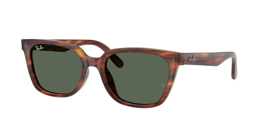 RB2243D - 95471 sunglasses - view 1