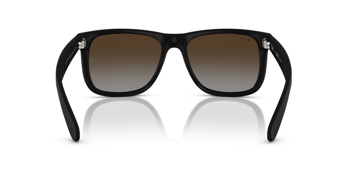 RB4165 - 622T5 sunglasses - view 5