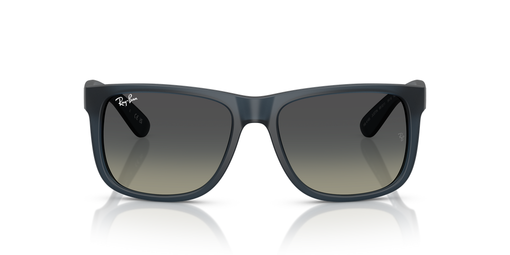 RB4165 - 681311 sunglasses - view 7
