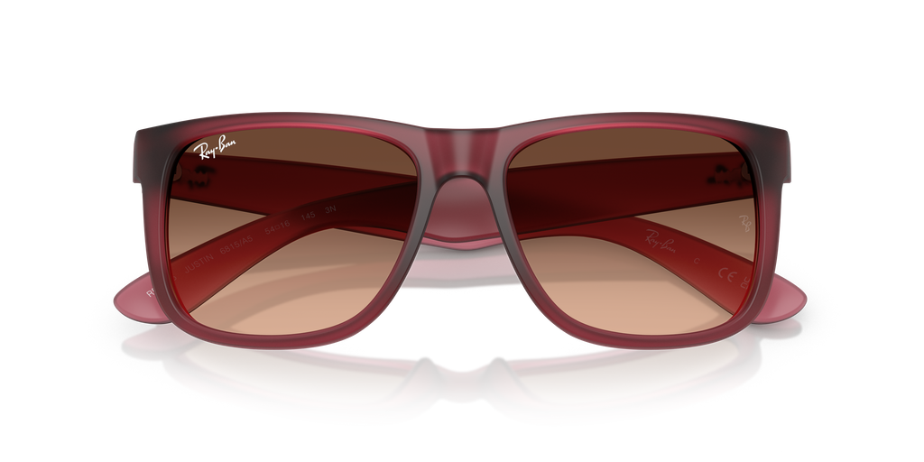 RB4165 - 6815A5 sunglasses - view 6