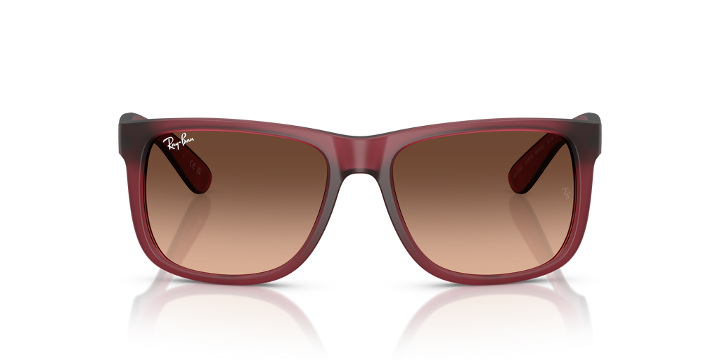 RB4165 - 6815A5 sunglasses - view 7