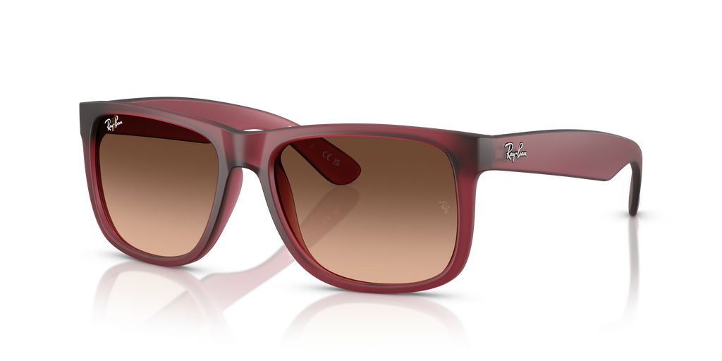 RB4165 - 6815A5 sunglasses - view 9