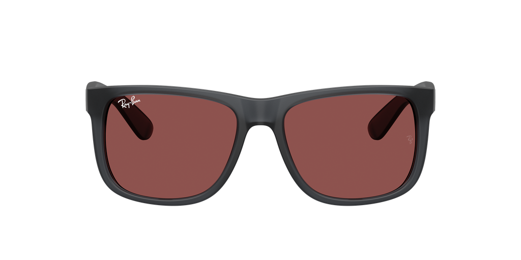 RB4165 - 687375 sunglasses - view 2