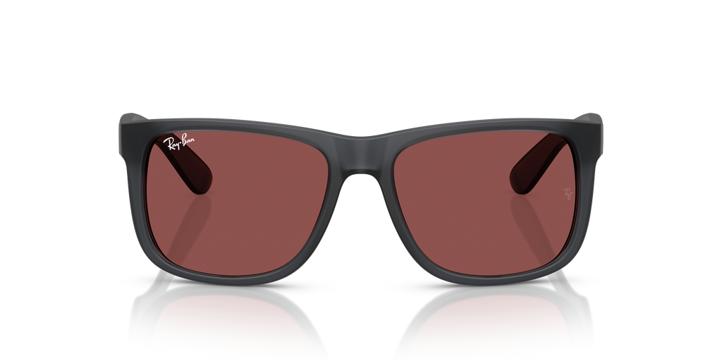 RB4165 - 687375 sunglasses - view 7