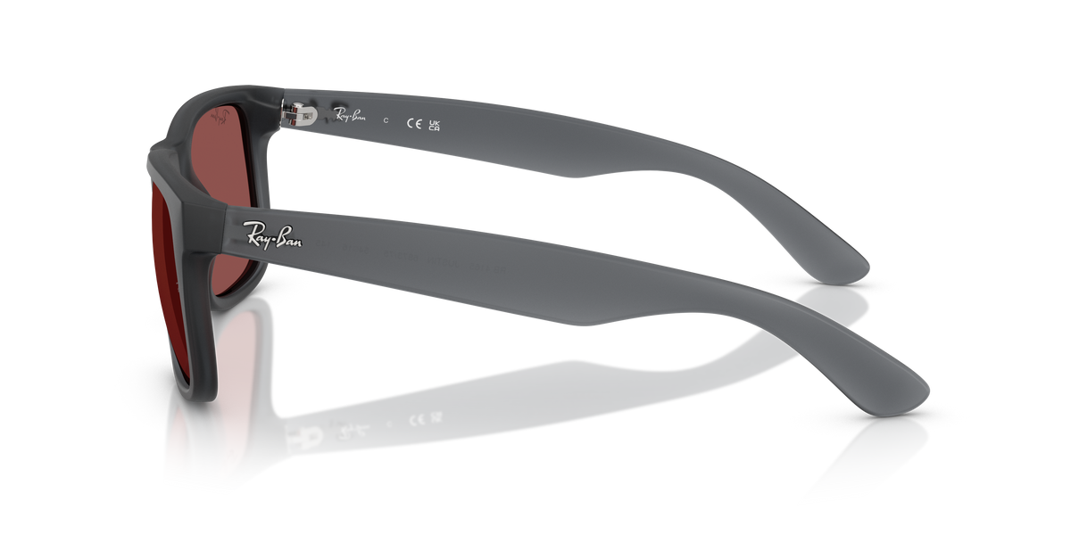 RB4165 - 687375 sunglasses - view 8