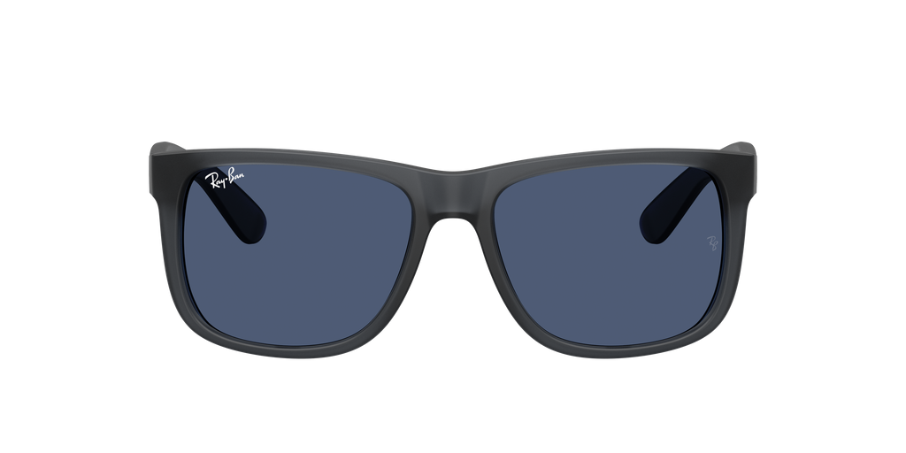 RB4165 - 687380 sunglasses - view 2