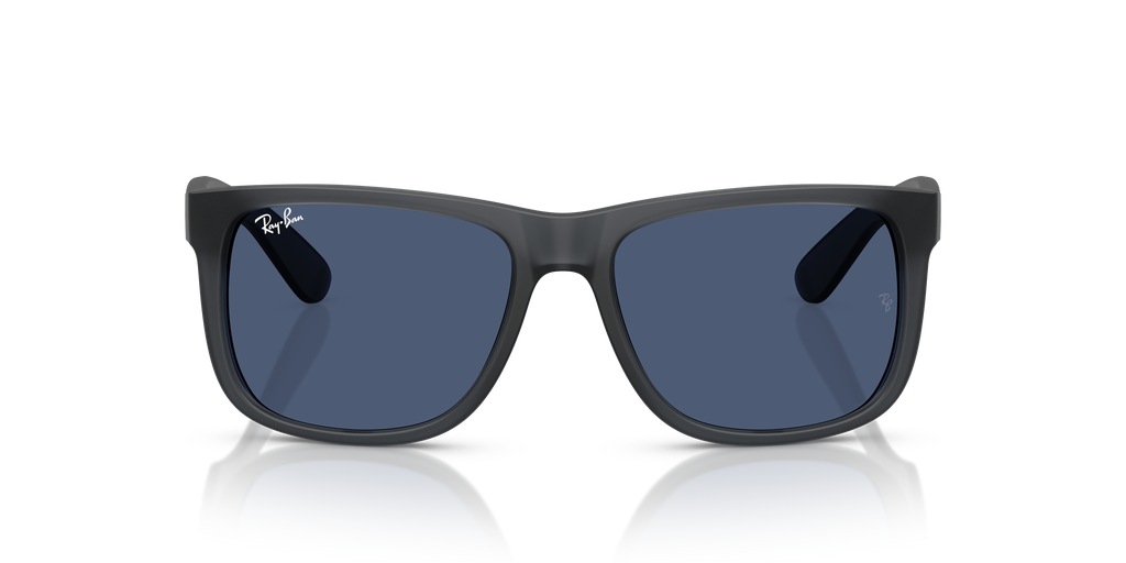 RB4165 - 687380 sunglasses - view 7