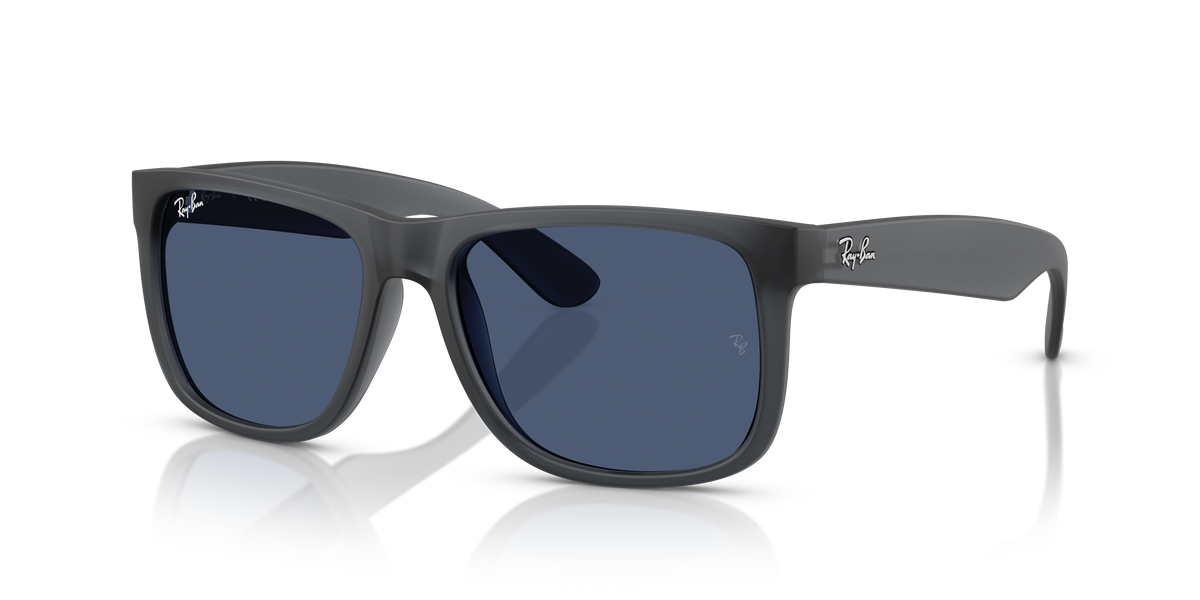 RB4165 - 687380 sunglasses - view 9